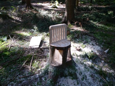 Entdeckung im Wald1.JPG