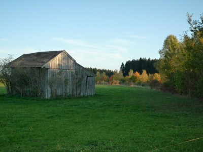 ländliches Idyll.JPG