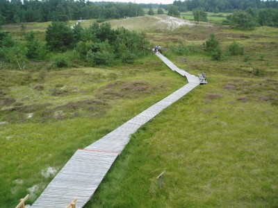 Ostsee 16.jpg