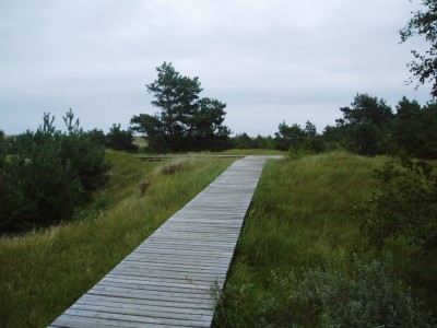 Ostsee 24.jpg