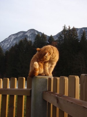 gina mit hausberg pölven 21.jpg