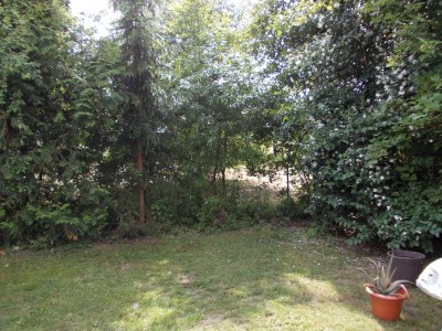 Garten hinten rechts.jpg