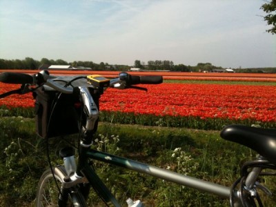 Tulpen-Radtour_2735.jpg