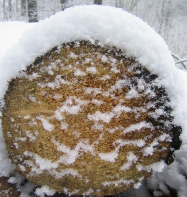 Sauerland heute....jpg