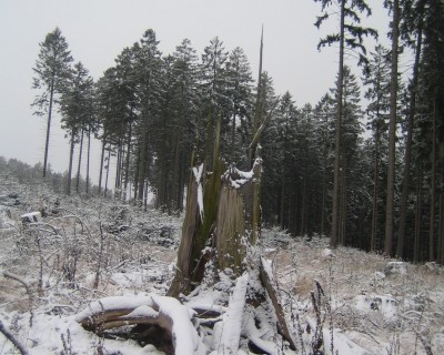 Sauerland Ende Oktober 079.jpg