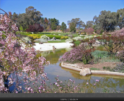 japanese garden.png