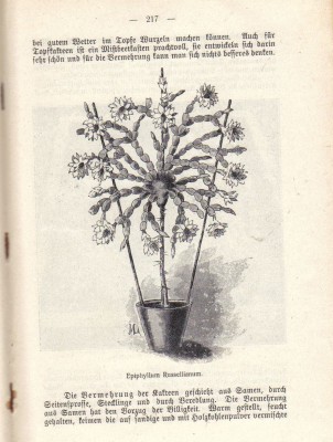 kaktusbuch2scan.jpg