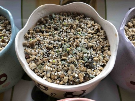 Lebende Steine und Granite - Lithops - Pleiospilos III