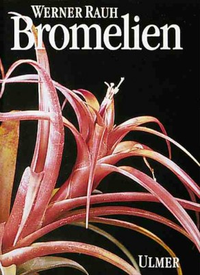 bromelien.JPG