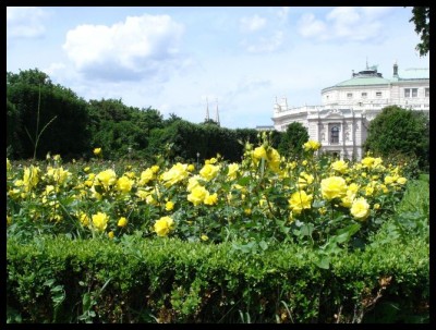 DSC01531 - Rosengarten der Hofburg Wien.jpg