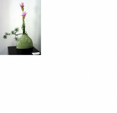 878_1152911468_ikebana 3.jpg