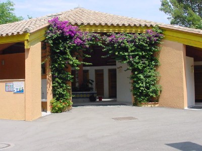 Waschhaus Bouganvillea.jpg