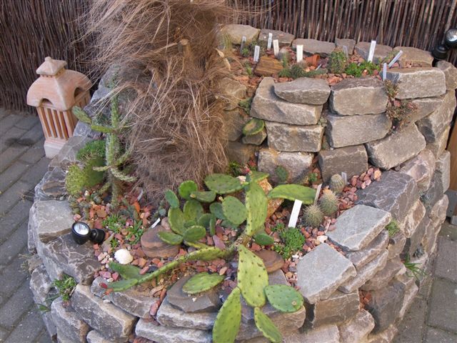 Projekt Kakteen- und Sukkulentenbeet - Gartenplanung & Gartengestaltung
