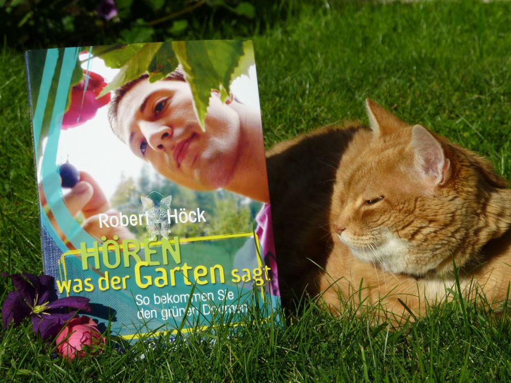 Hören was der Garten sagt Bücher & Literatur GREEN24 Hilfe Pflege