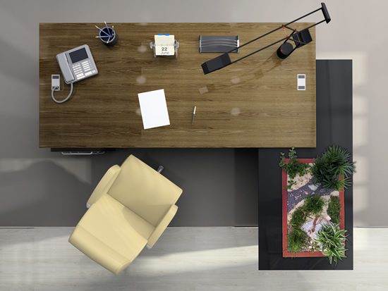 Zimmergarten, ein Indoor Minigarten für Wohnungen und Büros - Garten