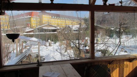 Bild
