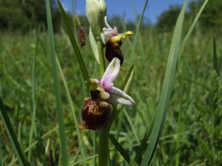 partnersuche de forum interessant