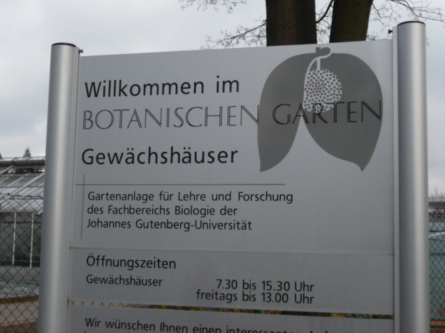 Sukkulenten Tante S Blog Botanischer Garten Uni Mainz Teil 1