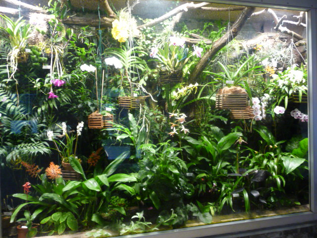 Sukkulenten Tante S Blog Botanischer Garten Jena Teil 1 Mein