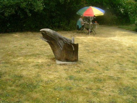 Bild