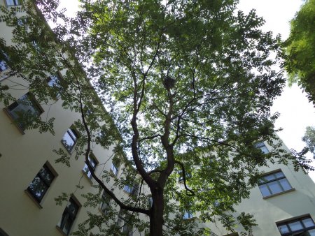 Bild