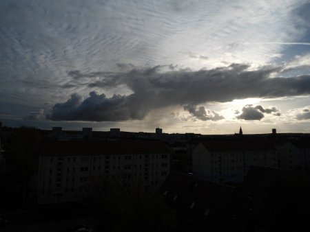 Bild