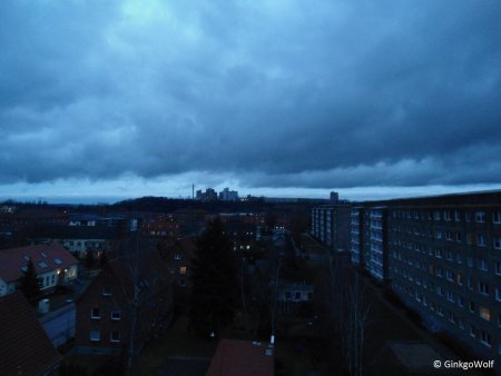 Bild