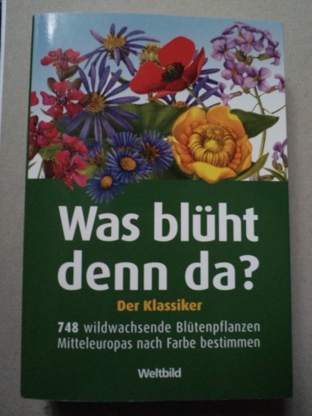 Bild
