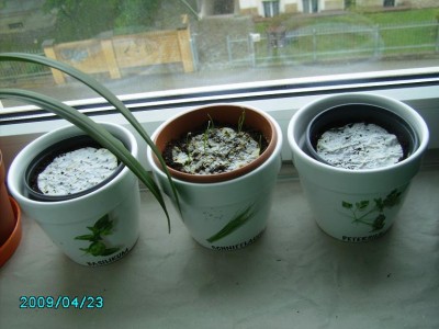 PICT0029.JPG