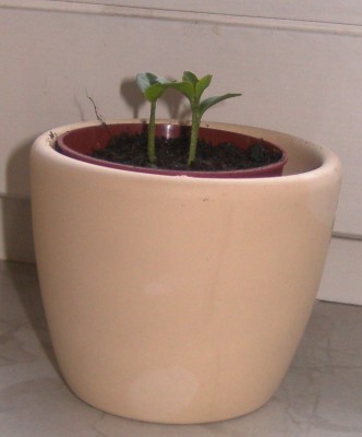 BILD0359.JPG