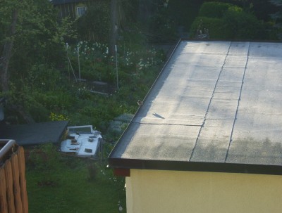 DSCI0009.JPG