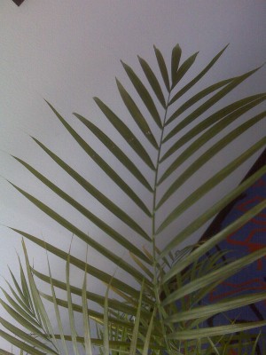 IMG01322.jpg