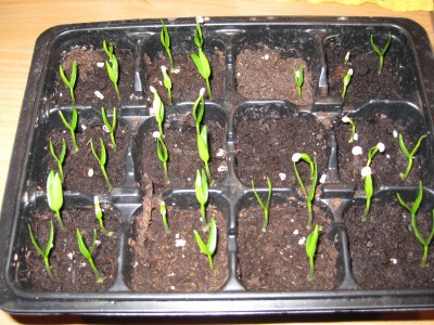 24.04.09.JPG