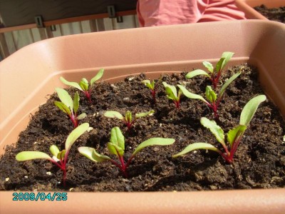 PICT0039.JPG