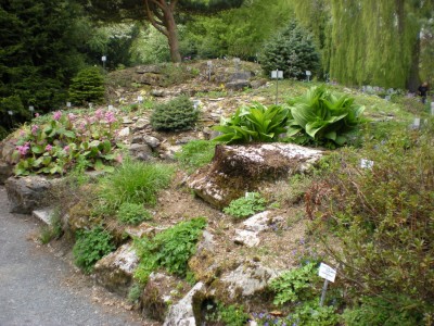 Botanischer und Zoologischer Garten Hof 010.jpg