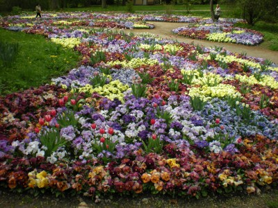 Botanischer und Zoologischer Garten Hof 004.jpg