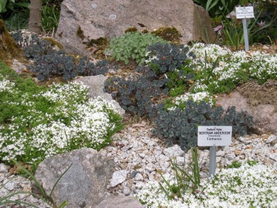 Botanischer und Zoologischer Garten Hof 044.jpg