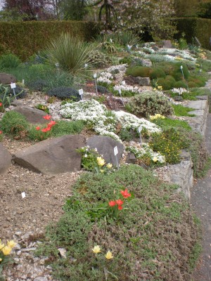 Botanischer und Zoologischer Garten Hof 041.jpg