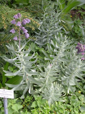 Botanischer und Zoologischer Garten Hof 030.jpg