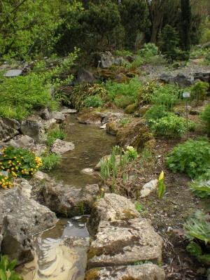 Botanischer und Zoologischer Garten Hof 055.jpg