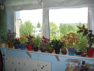 IMG_9253.JPG