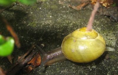 053.JPG