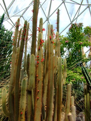 DSCF1744.jpg