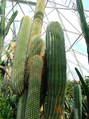 DSCF1743.jpg