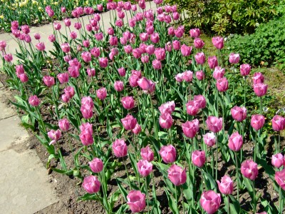 DSCF1643.jpg