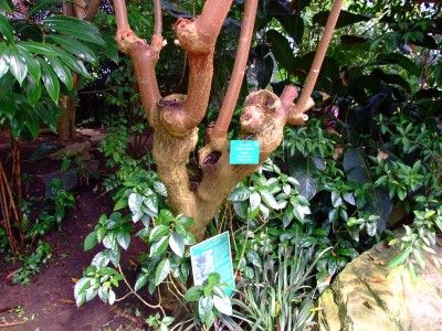 DSCF1796.jpg