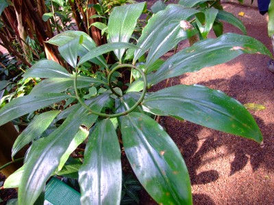 DSCF1787.jpg