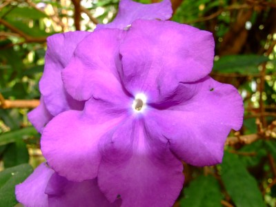 DSCF1780.jpg