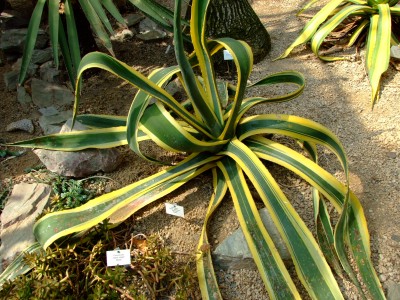 DSCF1759.jpg