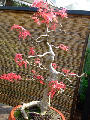 DSCF1810.jpg